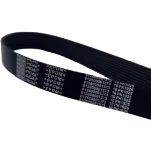 Honda CR-V Belt 7pk 1735 crv rd7/8