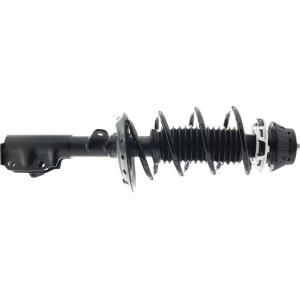 Honda Insight Front Shocks Fit ge/gp2/ /51611 tm4 014