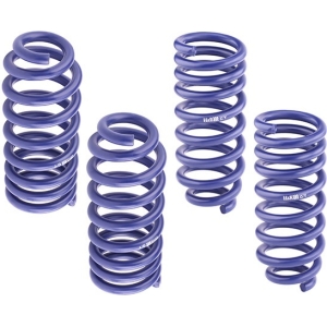 Honda Legent Heavy duty coil springs front